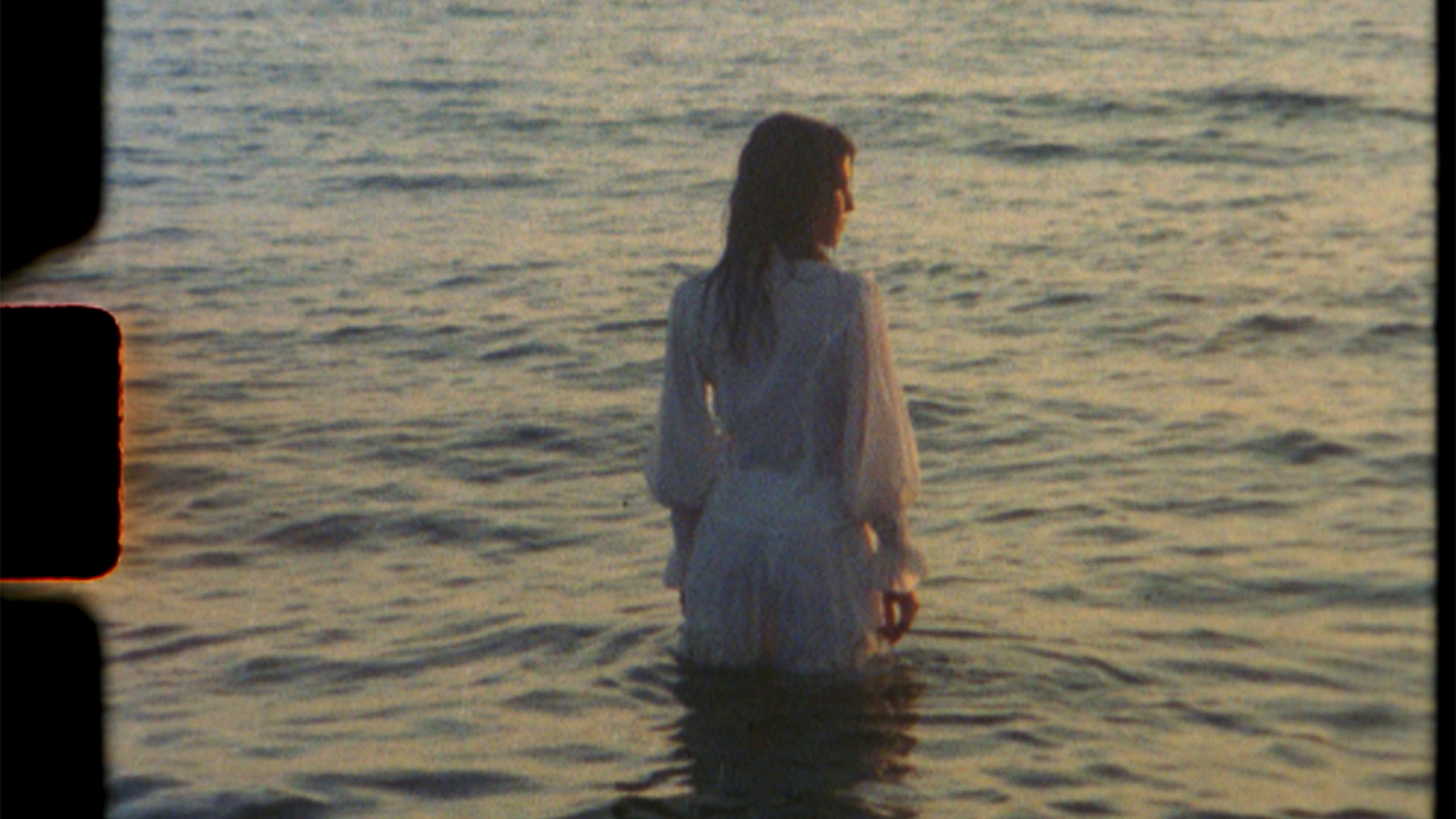 lyzard film
